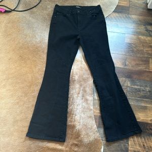 D.Jeans Black Bootcut